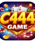 C444 Game
