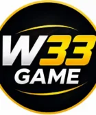 W33 Game