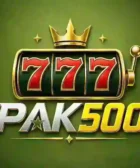Download PAK500