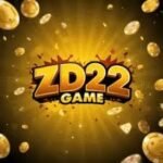 zd22 game