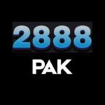 2888pak game
