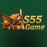 S55 game