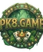 pk8 game