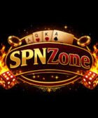 spn zone game
