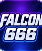 falcon game