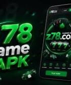 Z78 Game