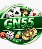 GN55 Game