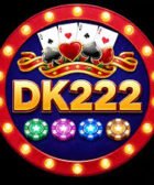 DK222 Game