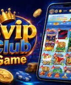 svipclub game