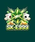 sk-e99