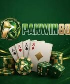 pakwin88 game