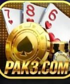 pak3 Game