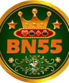 BN55 Game