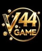 V44 Game