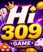 HI309 Game