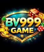BV999 Game