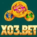 X03 Game