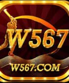 W567 Game