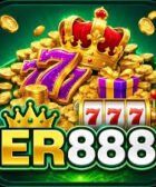ER888 Game