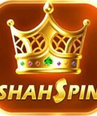 shah spin game