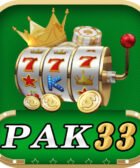 pak33 game