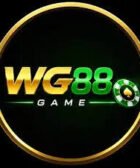 WG88 Game