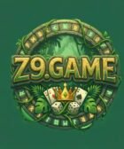 Z9 Game