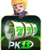 pk11 game