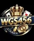 wgs456 game