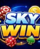 skywin game