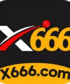 x66 game