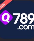 Q789 Game