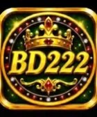 BD222 Game