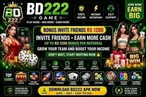 BD222 Game