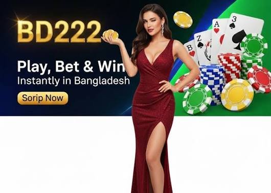 BD222 Game