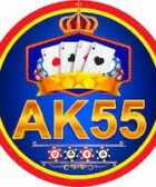 AK55 Game