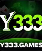 y333 game