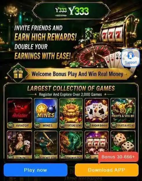 Y333 Game 
