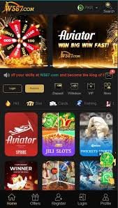 W567 Game
